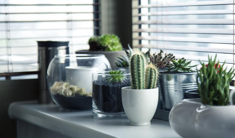 Repurposed Planters